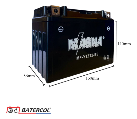 Bateria Pulsar Rs200 Magna 3 Bateria Pulsar Rs200 Magna - Imagen 3