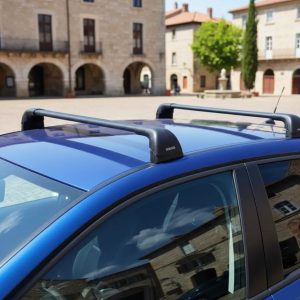 Barras De Techo Portaequipaje Mercedez Peugeot Bmw