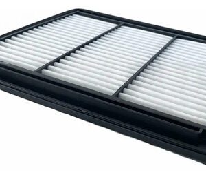 Filtro De Aire Aip-1188 Premium Filters